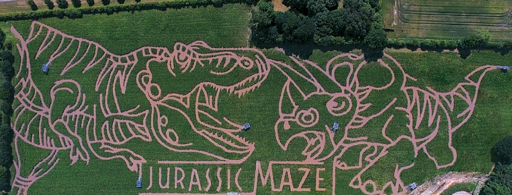 amazing maze rochester ny amazing maze rochester ny